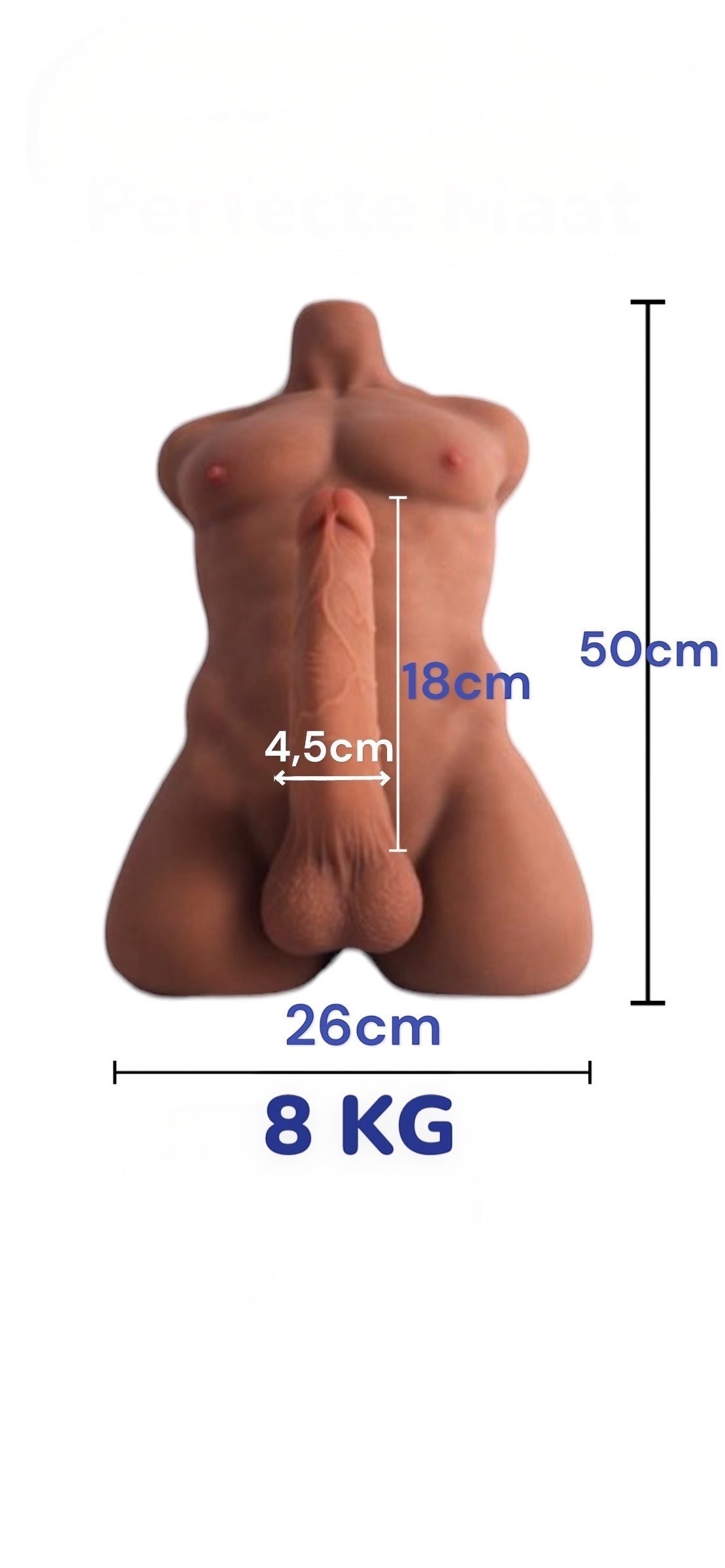 Sexpuppe Mitch (männlich) – Sextorso (männlich)